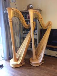 Nicola Veal Wedding Harpist