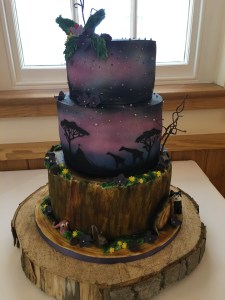 Nicola Veal Wedding Harpist