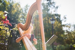 Nicola Veal Wedding Harpist
