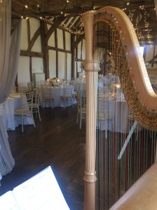 Nicola Veal Wedding Harpist