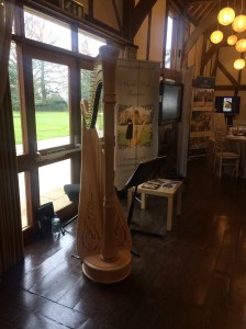 Nicola Veal Wedding Harpist