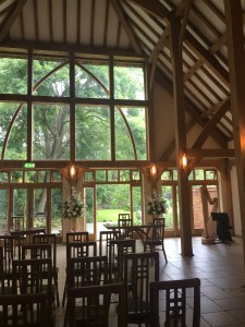 Nicola Veal Wedding Harpist