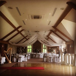 Nicola Veal Wedding Harpist