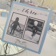 Nicola Veal Wedding Harpist