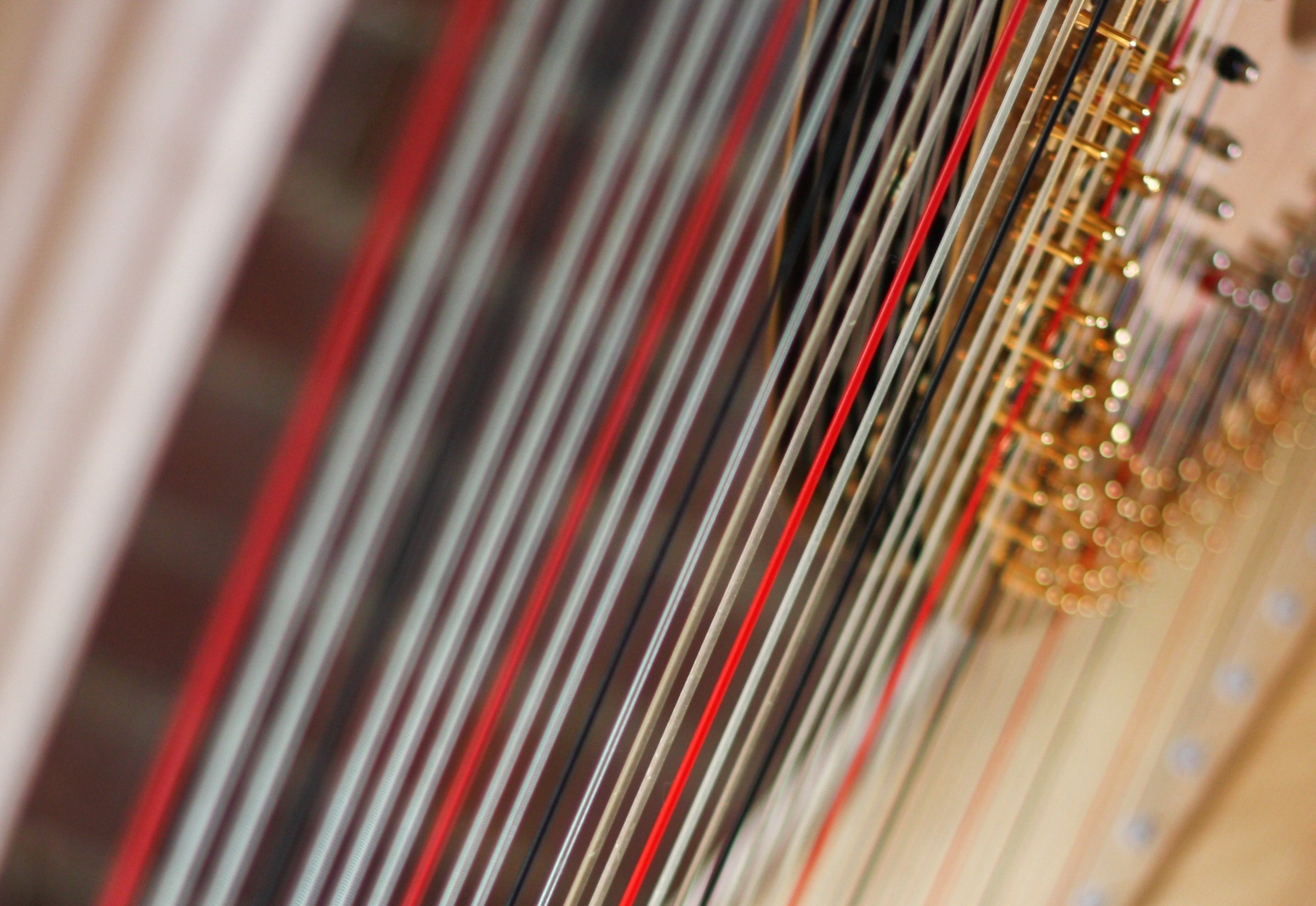 Nicola Veal Wedding Harpist