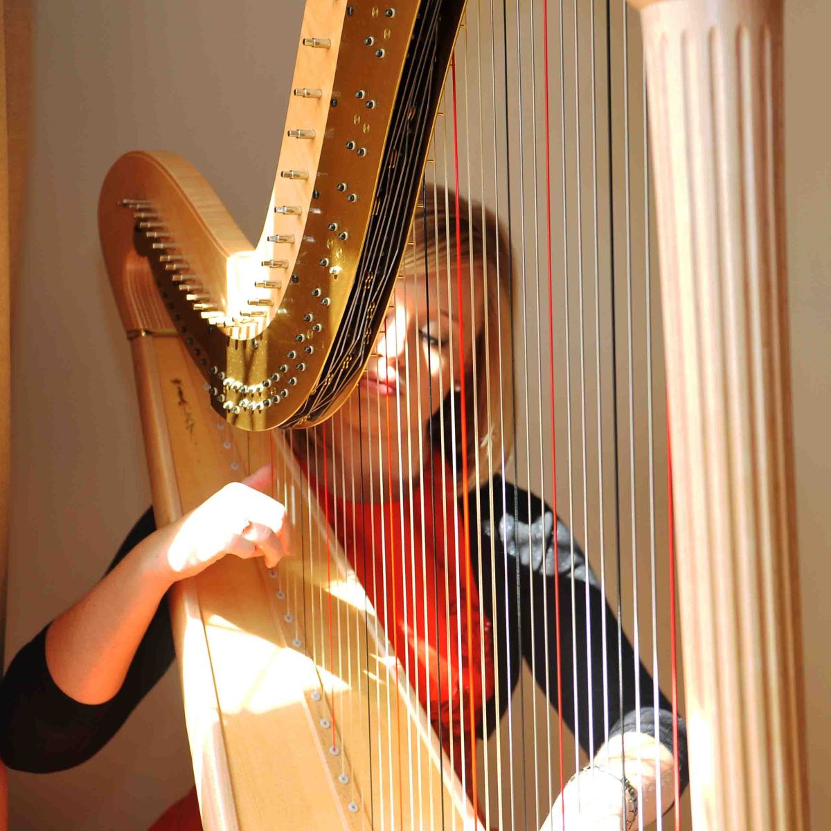 Nicola Veal Wedding Harpist