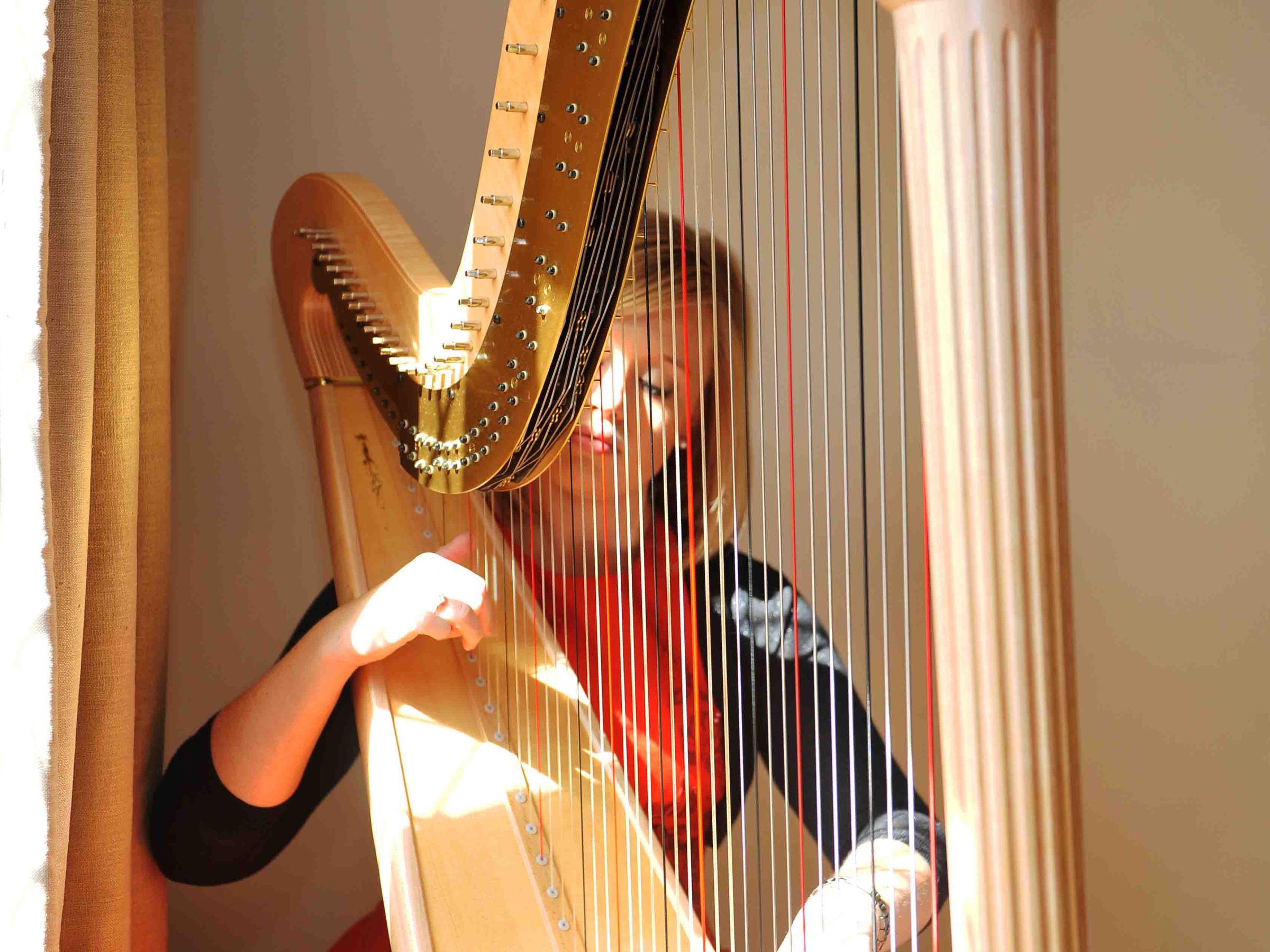 Nicola Veal Wedding Harpist