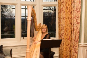 Nicola Veal Wedding Harpist