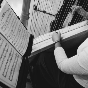 Nicola Veal Wedding Harpist