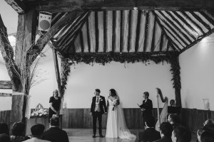 Nicola Veal Wedding Harpist